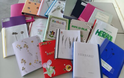Herbarij, istraživački zadaci, umne mape, plakati…4a