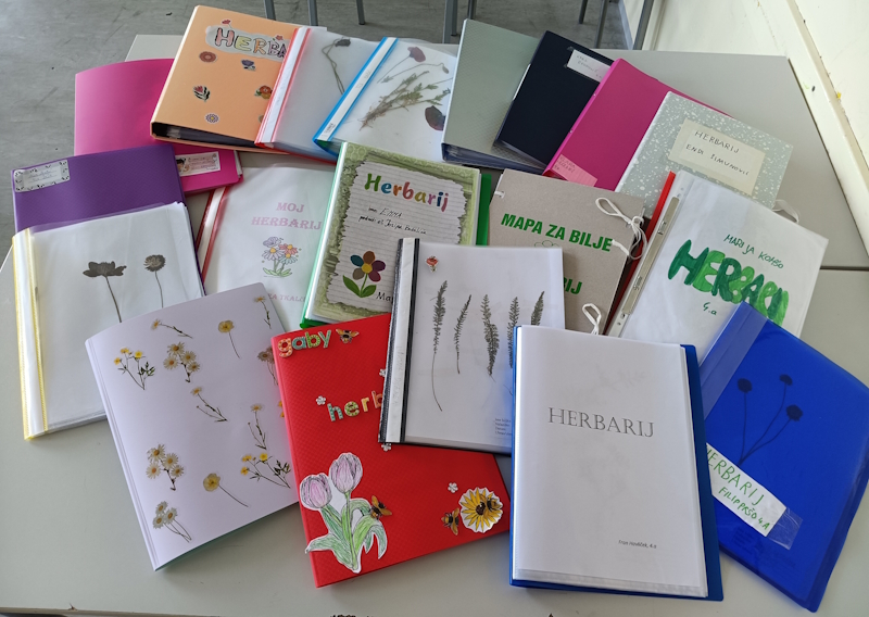 Herbarij, istraživački zadaci, umne mape, plakati…4a