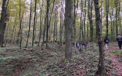 TERENSKA NASTAVA UČENIKA VIŠIH RAZREDA – Projekt Zzemlja